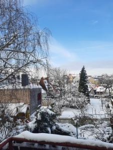 a snow covered yard with a fence and trees at Haus am Donatsturm in Freiberg