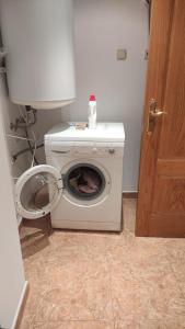 una lavadora con un perro en el baño en APARTAMENTO TURíSTICO, PADRÓN, en Padrón