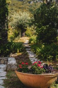 a garden with a large flower pot with red flowers at Dimoulitsa Villas Complex in Doukádes