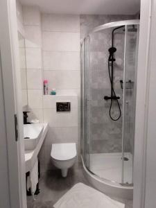 a bathroom with a shower and a toilet and a sink at Nowoczesny Apartament Nad Łomnicą in Karpacz +4 photos