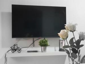 Apartamento PUERTO的电视和/或娱乐中心