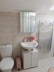ein Badezimmer mit einem WC, einem Waschbecken und einem Spiegel in der Unterkunft Deluxe Spacious Apartment in Chadwell Heath, London in Goodmayes