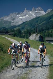 un grupo de personas montando bicicletas por un camino de grava en Ferienhaus Vollspora, en Schruns