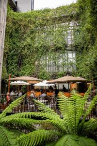 an outdoor patio area with trees and bushes at The Mandrake in London