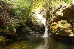 uma cascata numa selva com uma piscina de água em Orange Grove em Robertson