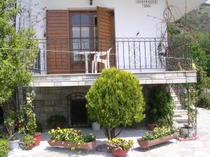A garden outside Anastasia