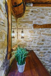 Fotografie z fotogalerie ubytování House Oak Tree v destinaci Medviđa