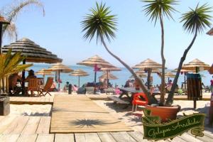 a beach with palm trees and umbrellas and the ocean at Casa das Cores in Sesimbra