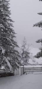 un recinto e un albero ricoperto di neve di Appartamento del sole a Bardonecchia