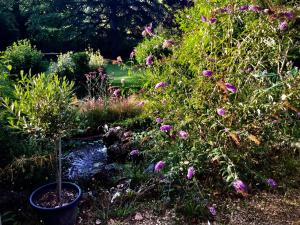 a garden with a tree with purple flowers at Villa Léovil in Saint-Pompont