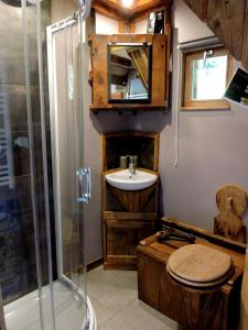 a bathroom with a toilet and a sink and a shower at La Cabane in Connigis +29 photos