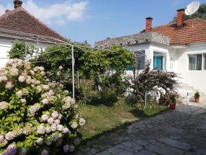 Gallery image of Family hоuse in Banja Koviljača