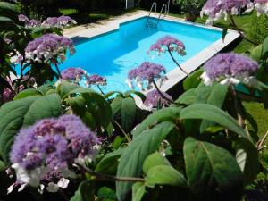 uma piscina com flores roxas em frente em Four Seasons Apartment "GREEN PARADISE" em Villach