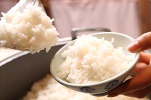 a person holding a bowl of white rice at Hotel Towadaso in Towada