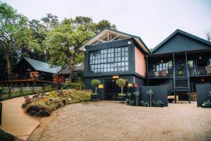 The Bohemian Guesthouse外面的花园
