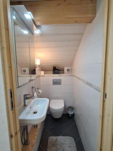une petite salle de bain avec un lavabo et des toilettes dans l'établissement Chalet Cristal Trail, à Chamonix-Mont-Blanc