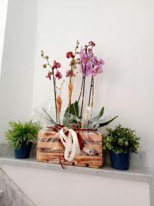 a arrangement of flowers in a wooden box on a shelf at Hotel Caprice in Marina di Massa
