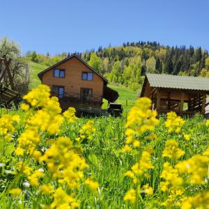 un campo de flores amarillas delante de una casa en Smerekova Hata, en Oryavchyk