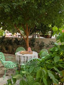 Сад в Mukam, Boutique Homestay