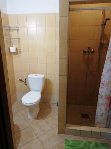 a bathroom with a toilet and a shower at Hotelik WARMIA -Pensjonat, Hostel in Lidzbark Warmiński