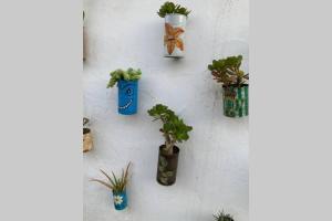 Zdjęcie z galerii obiektu Casa típica de pueblo andaluz w mieście Villanueva de San Juan