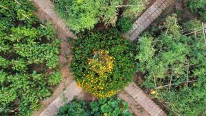 A garden outside Seaside Villa Alexandra,Acharavi.