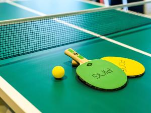 Tenis a/nebo squash v ubytování ibis budget Winterthur nebo okolí