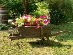 a wooden cart filled with flowers in the grass at Locanda Del Molino Vecchio in Magliano Alfieri