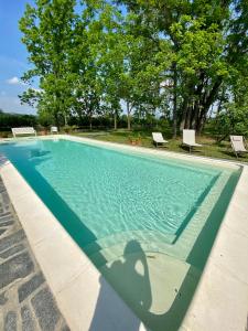 uma piscina com água azul, cadeiras e árvores em Locanda Del Molino Vecchio em Magliano Alfieri