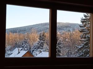 una ventana con vistas a un bosque cubierto de nieve en Srub Javorná - apartmány Šumava, en Javorná 201 fotos más