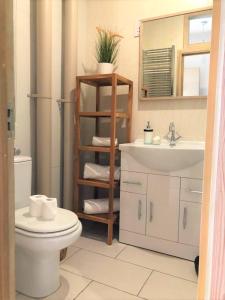 a bathroom with a white toilet and a sink at Studio Flat without kitchen at Kentish Town in London