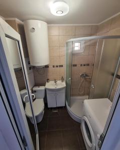 a bathroom with a toilet and a sink and a shower at Apartament Crina in Jurilovca +3 photos