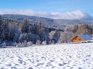 Un campo cubierto de nieve con una casa al fondo en Srub Javorná - apartmány Šumava, en Javorná
