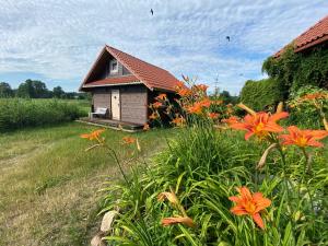 una pequeña casa en un campo con flores naranjas en Dwór Łabędzie w Kiermusach, en Kiermusy