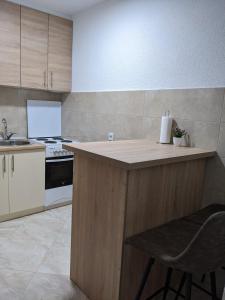 uma cozinha com um balcão com um lavatório e um fogão em Apartmani Drinska em Foca