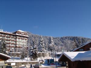 Chalet Balthazar v zimě