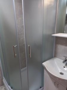 een badkamer met een douche en een wastafel bij Apartmani Drinska in Foča
