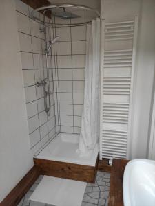 a bathroom with a shower with a tub and a sink at Abschalten am Albsteig in Albbruck im Süd-Schwarzwald großzügige Ferienwohnung in Albbruck