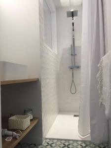 a shower in a bathroom with a shower curtain at Maison l'heure bleue in Lanton