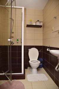 Mikulov v Krušných Horách的住宿－克布旅館，一间带卫生间和水槽的浴室