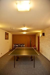 Stolní tenis v ubytování Pension U Krbu nebo okolí