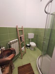 uma casa de banho com um lavatório, um WC e um chuveiro em Medieval Apartment em Mediaş