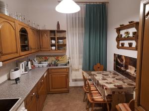 eine Küche mit einem Tisch und einem grünen Vorhang in der Unterkunft Arthur Albert Apartment -7 Wohnungen für Geschäftsreisende - wie zu Hause in Chemnitz