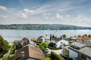 una vista aérea de una ciudad con un lago en Sedartis Swiss Quality Hotel, en Thalwil