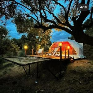 a tent is set up under a tree at night at Hayal Tadında in Izmir