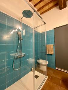 a blue tiled bathroom with a shower and a toilet at Window to Bagno Vignoni in Bagno Vignoni