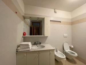 a bathroom with a sink and a toilet and a mirror at Palazzina Rosa in Spormaggiore