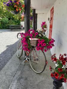 a bike with flowers in a basket next to a door at Cummins Cottages in Ballycrossaun