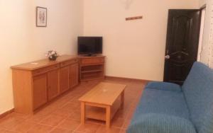 a living room with a blue couch and a tv at Apartamentos Las Parcelas in Conil de la Frontera
