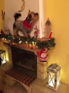 un perro parado sobre una chimenea con adornos navideños en Vila Marko, en Nová Lesná